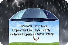 <b>How to Protect Your Revenue, Assets and Profit From Loss</b>